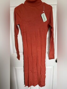 Long-Sleeve Ribbed Turtleneck Dress in Burnt Orange